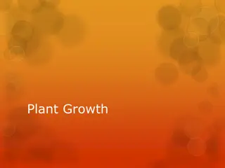 Plant Cell Growth Mechanisms