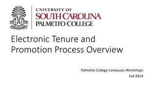 Electronic Tenure and Promotion Process Overview at Palmetto College Campuses