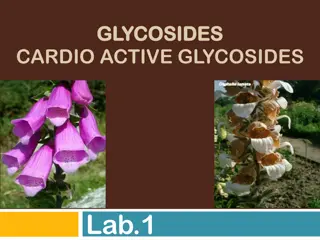 Glycosides: A Comprehensive Overview