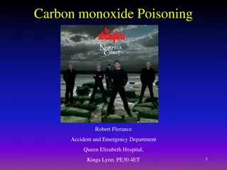 Carbon Monoxide Poisoning: Risks, Symptoms, and Guidelines