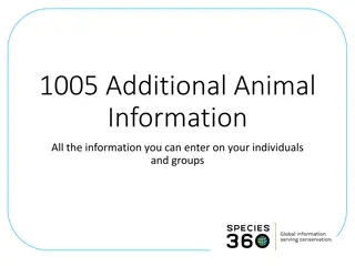 Animal Information Management System Overview