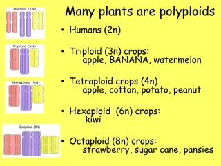 Understanding Polyploidy in Plants: Implications and Techniques