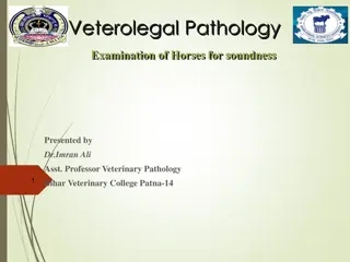 Veterolegal Pathology: Examination of Horses for Soundness by Dr. Imran Ali, Asst. Professor at Bihar Veterinary College