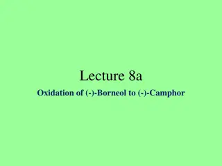 Oxidation of (-)-Borneol to (-)-Camphor: Experimental Procedure