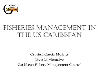 Fisheries Management in the US Caribbean Timeline Summary