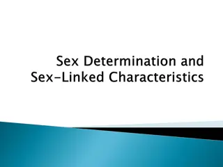 The Chromosome Theory of Sex Determination