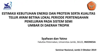 Estimasi Kebutuhan Energi dan Protein Ayam Arab Periode Pertengahan Peneluran