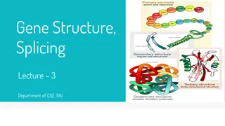 Understanding Gene Structure and Splicing in Eukaryotic Cells