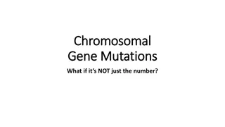 Chromosomal and Gene Mutations in Genetics