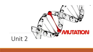 Genetic Mutation and Its Impact on Evolution