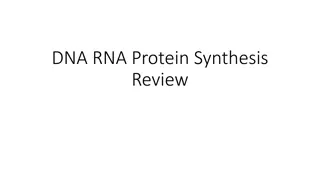 DNA, RNA, and Protein Synthesis: A Comprehensive Review