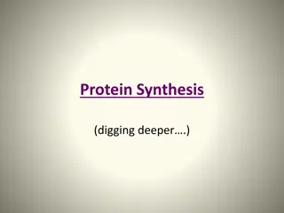 Protein Synthesis: The Molecular Machinery Behind Protein Production