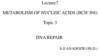 DNA Damage and Repair: Importance and Consequences