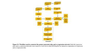 Insights into Potato Gene Expression and Co-Expression Networks