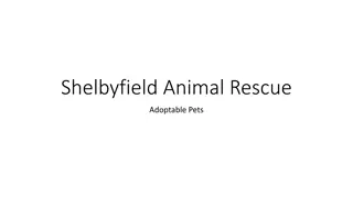 Shelbyfield Animal Rescue - Meet Adoptable Pets!