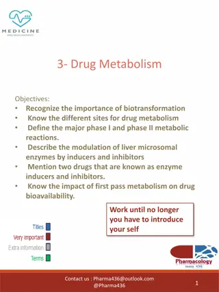 Drug Metabolism: Importance and Mechanisms