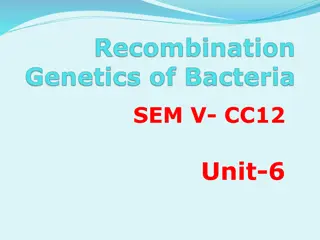 Bacterial Conjugation: Mechanism and Applications