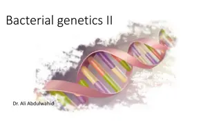 Bacterial Genetics: Phenotypic and Genotypic Variability