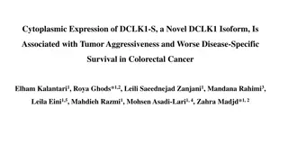 Cytoplasmic Expression of DCLK1-S in Colorectal Cancer