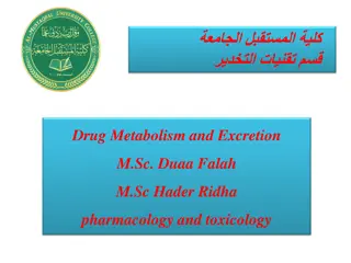 Drug Metabolism and Excretion in Pharmacology