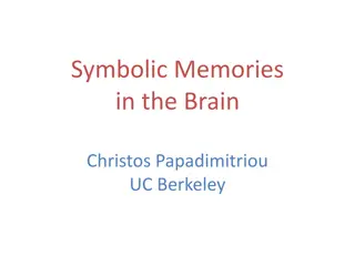 Computational Theories of Brain Function