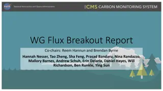 Flux Working Group Report and Synthesis Activities