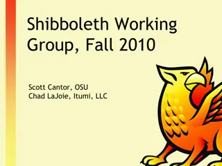 Overview of Shibboleth Working Group Activities Fall 2010