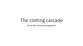 Understanding the Clotting Cascade and Hemostasis