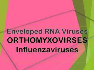 Orthomyxoviruses and Influenza: A Detailed Overview