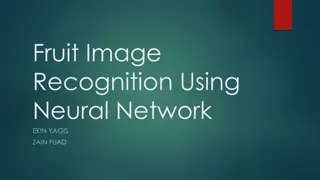 Fruit Image Recognition Using Neural Network by Ekin Yagis & Zain Fuad