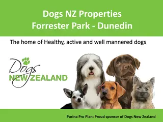 Challenges Faced by Forrester Park in Dunedin Regarding Dog Activities