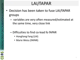 Recent Activities and Future Plans in LAI/FAPAR Research