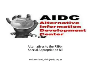 Analysis of Alternative Solutions to the R59bn Special Appropriation Bill