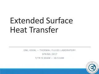 Extended Surface Heat Transfer in Thermal Fluids Laboratory