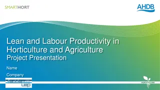 Enhancing Horticulture and Agriculture Productivity through Lean Practices