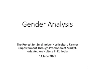 Gender Analysis in Smallholder Horticulture Farming Empowerment Project