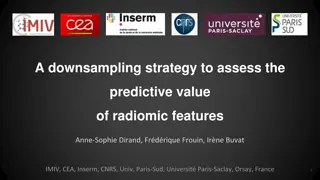 Radiomic Feature Assessment Through Downsampling Strategy