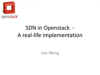 SDN and OpenStack in Cloud Computing