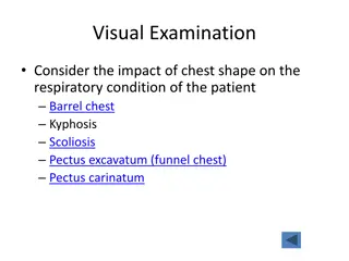 Comprehensive Visual and Physical Assessment Techniques for Respiratory Conditions