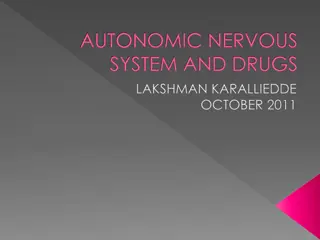 Understanding the Autonomic Nervous System and Its Functions