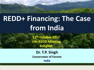 REDD+ Financing in India: A Comprehensive Overview