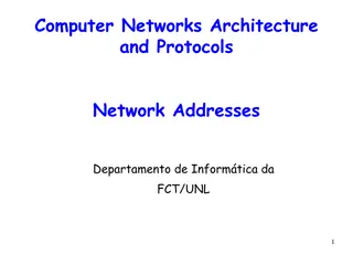 Network Addresses and IP Addressing Schemes