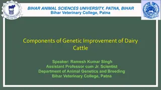 Genetic Improvement of Dairy Cattle: Key Components and Strategies