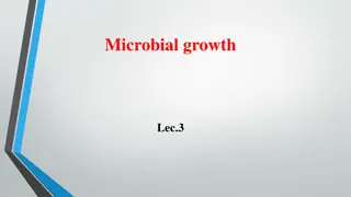 Microbial Growth: Phases and Dynamics