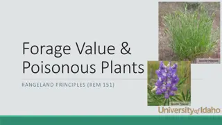 Forage Value and Poisonous Plants in Rangelands