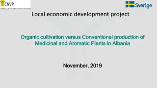 Comparative Analysis of Organic and Conventional Cultivation of Medicinal and Aromatic Plants in Albania