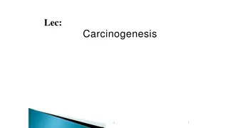 The Fundamentals of Carcinogenesis and Cancer Hallmarks