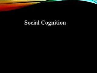 Understanding Social Cognition and Schemas