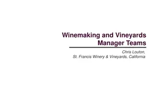 Insights into Winemaking and Vineyards Management at St. Francis Winery & Vineyards, California