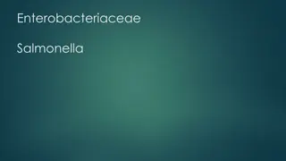 Overview of Enterobacteriaceae Classification with Focus on Typhoidal Salmonella